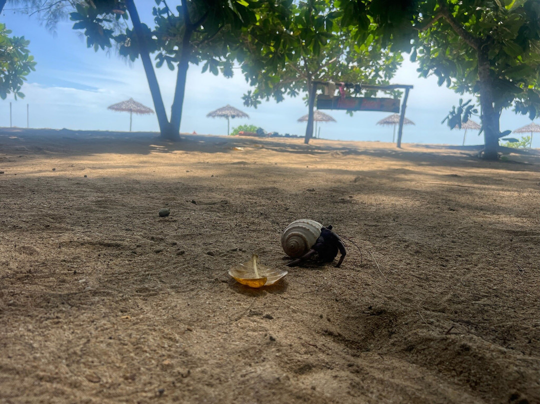 Hapla Beach Cottage主图