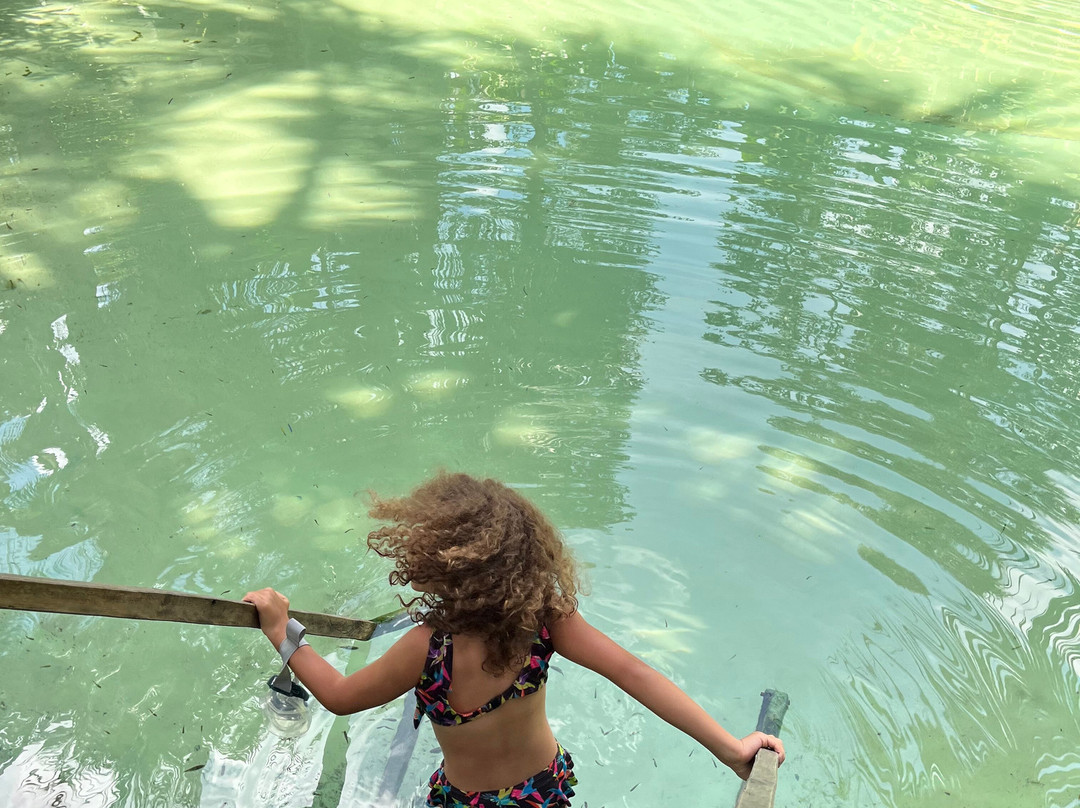 Fervedouro Do Alecrim-Sao Felix do Tocantins必去景点