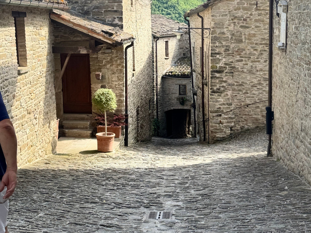Castello della Pieve景点图片
