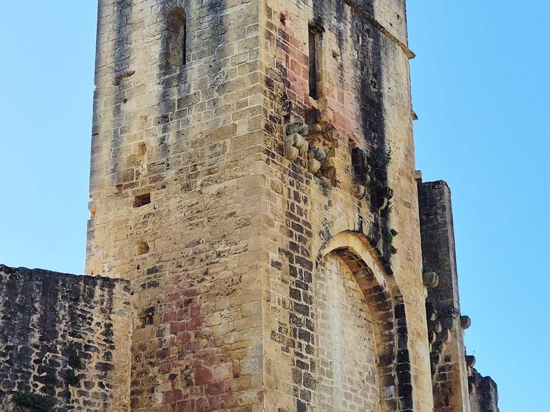 Chateau de Carlux景点图片