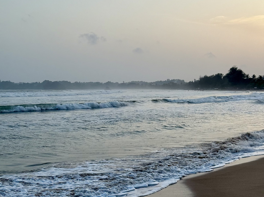 Absolute Lanka Tours景点图片