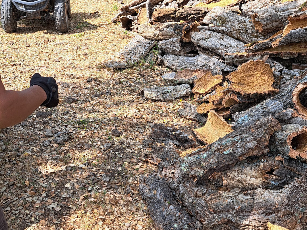 QuadsExperience-Monchique必去景点