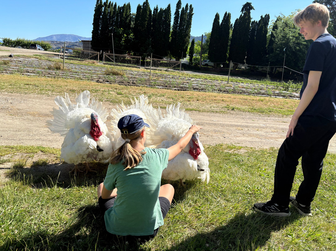 Hillside Orchards U-Pick and Farm-Oliver必去景点