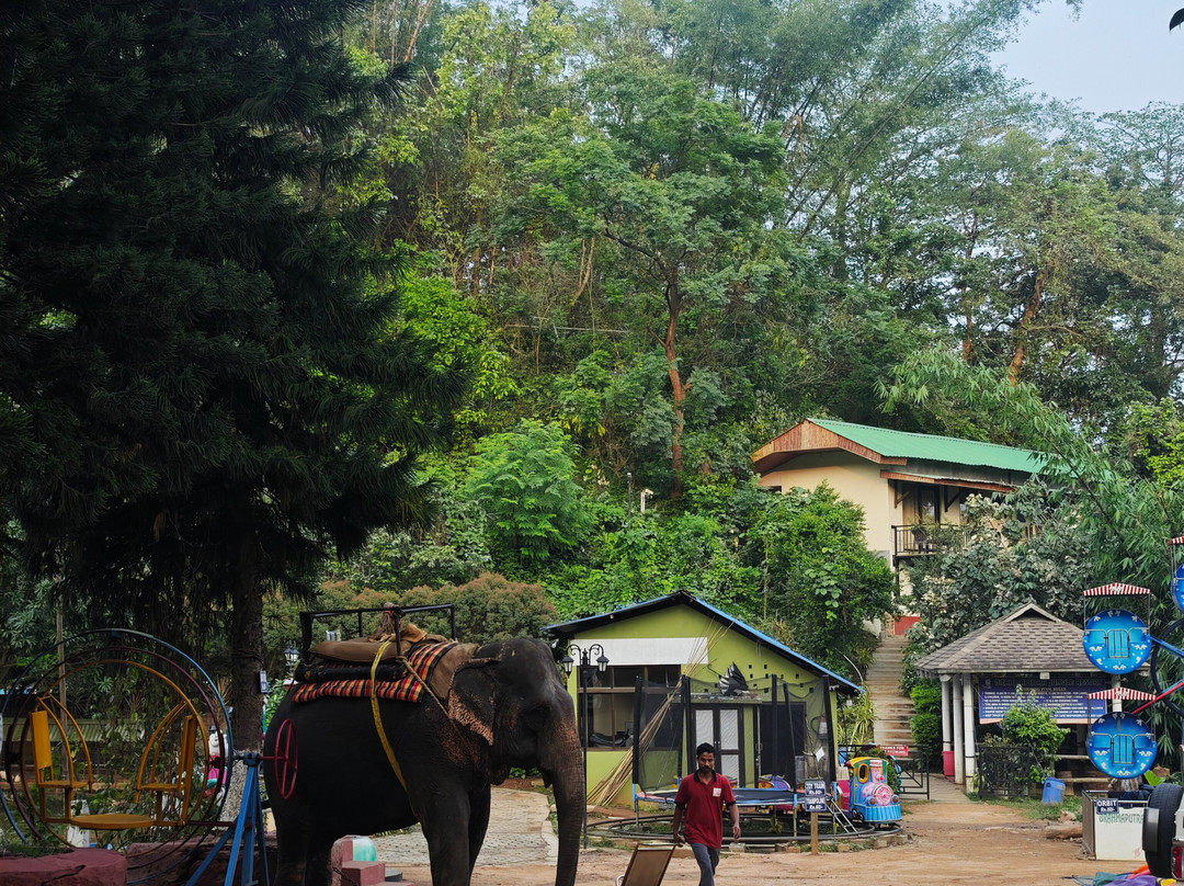 Brahmaputra Jungle Resort主图