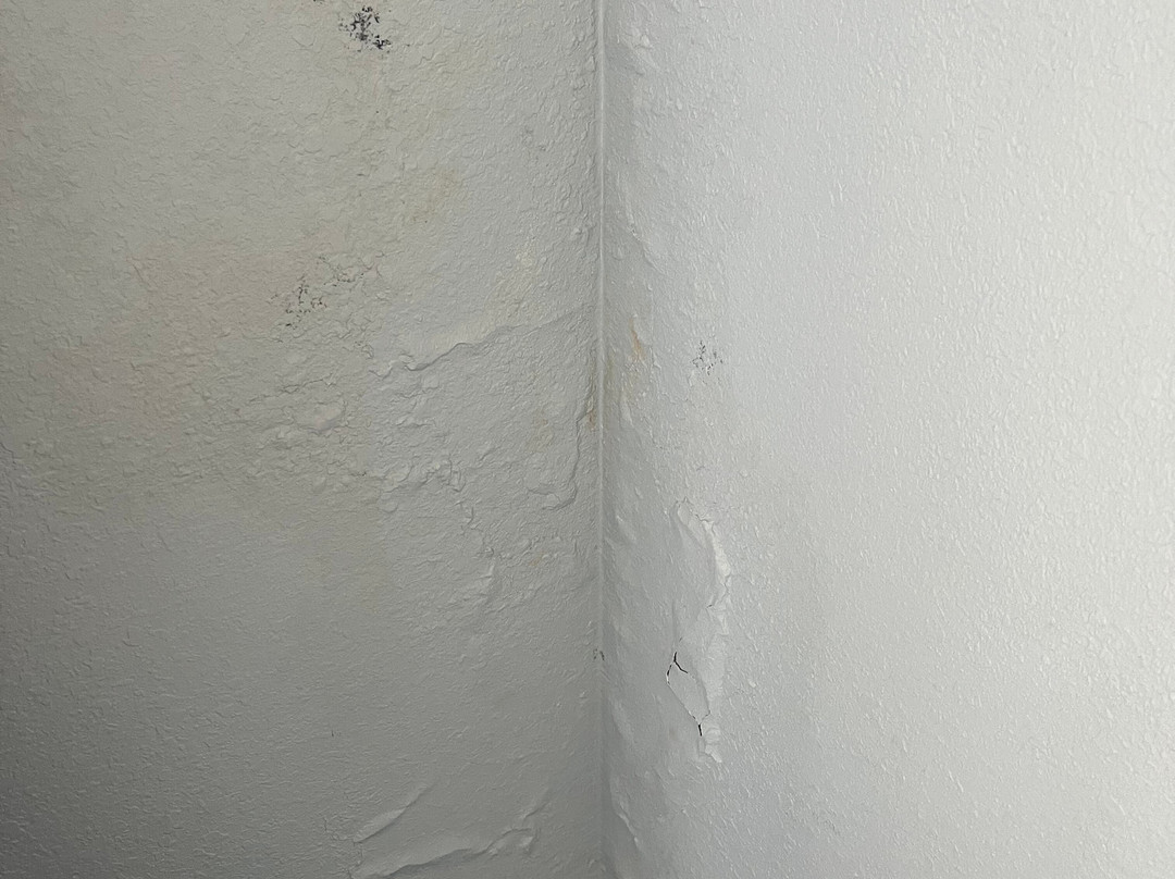 Best Western Plus Birmingham Inn & Suites主图