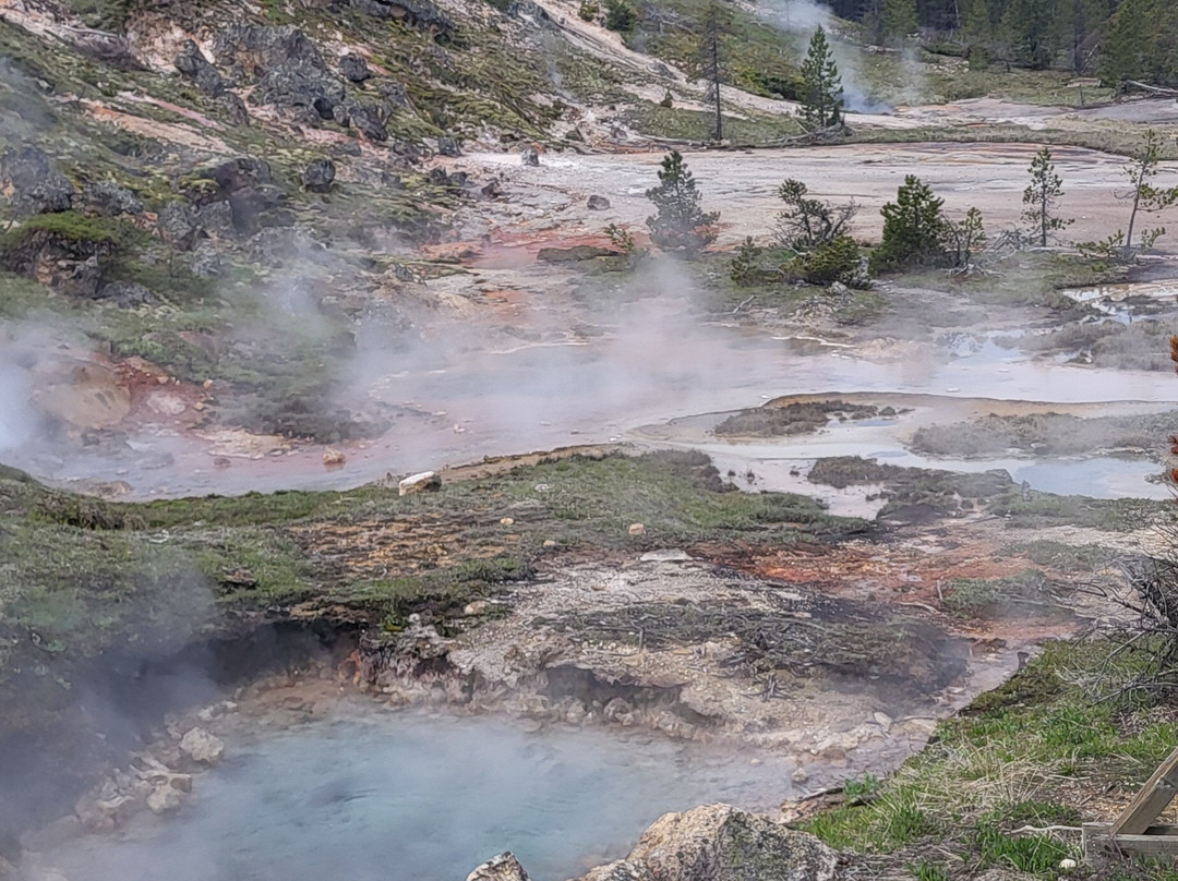 Yellowstone National Park景点图片