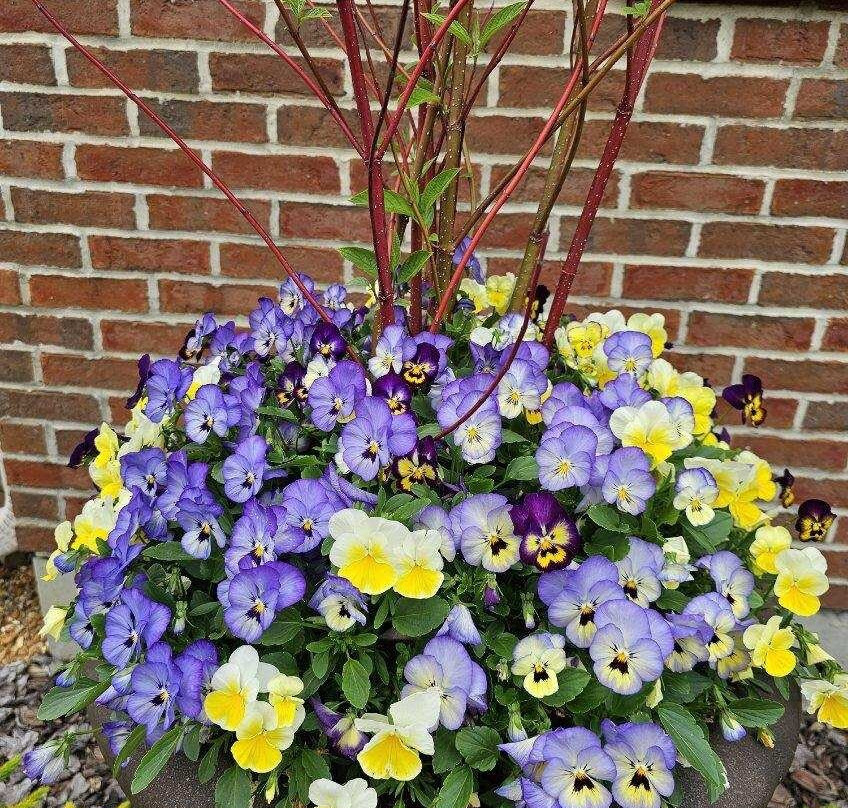 Lebanon Garden Tour And Scavenger Hunt-Lebanon必去景点