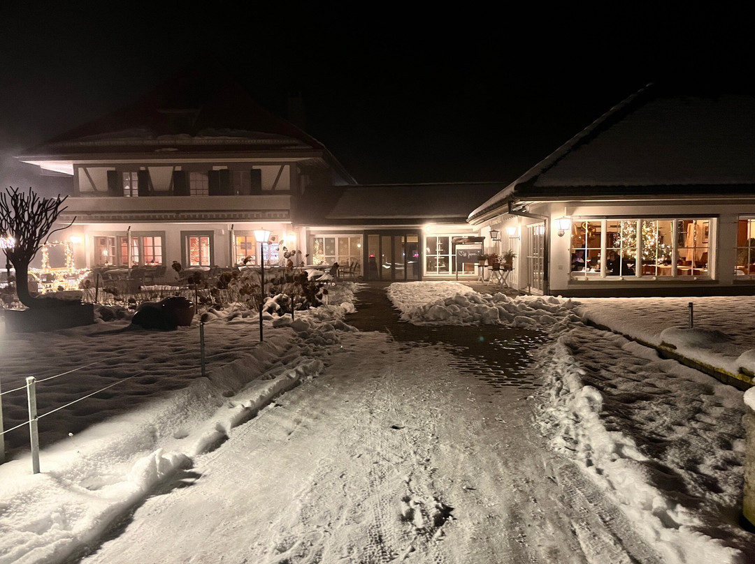 Heimiswil餐馆和美食-Sommerhaus Landgasthof