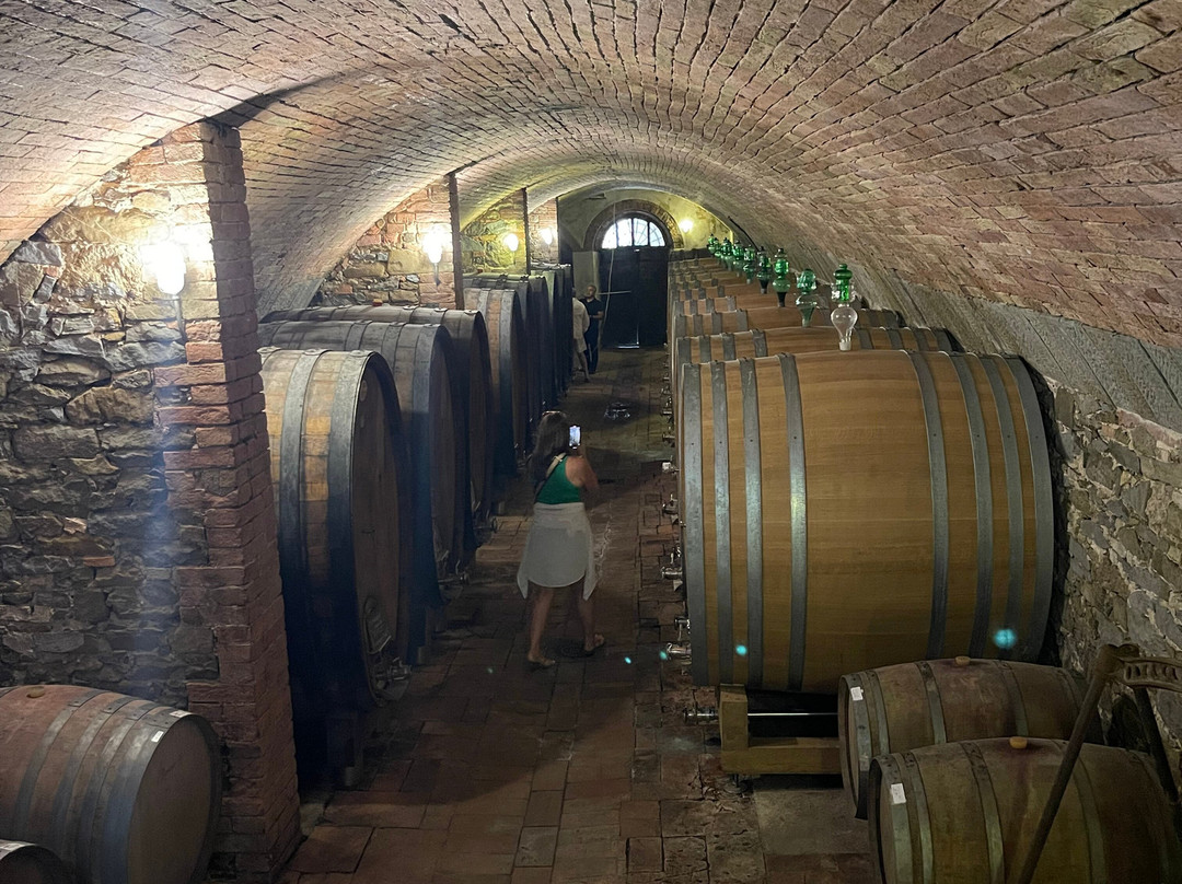 Fattoria San Michele A Torri Societa’ Agricola-null必去景点