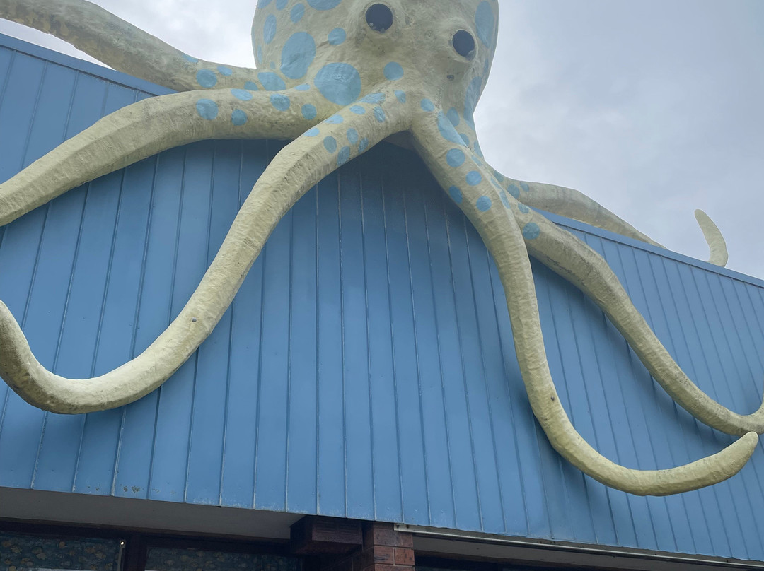 Griffiths' Sea Shell Museum & Marine Display-莱克斯恩特伦斯必去景点