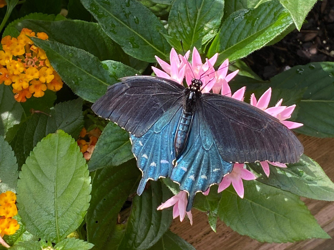 Louisville Zoo-路易斯维尔必去景点