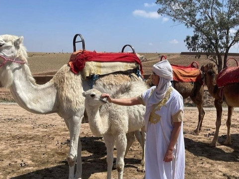 Anouar Tours-马拉喀什必去景点