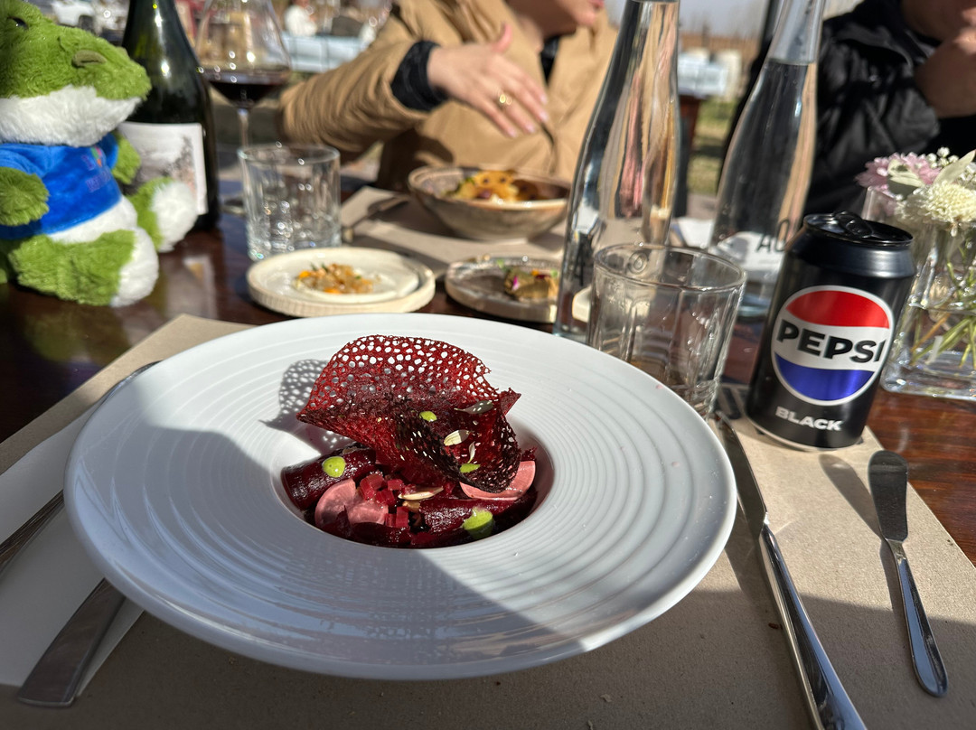 Cundo Altamira-La Consulta必去景点