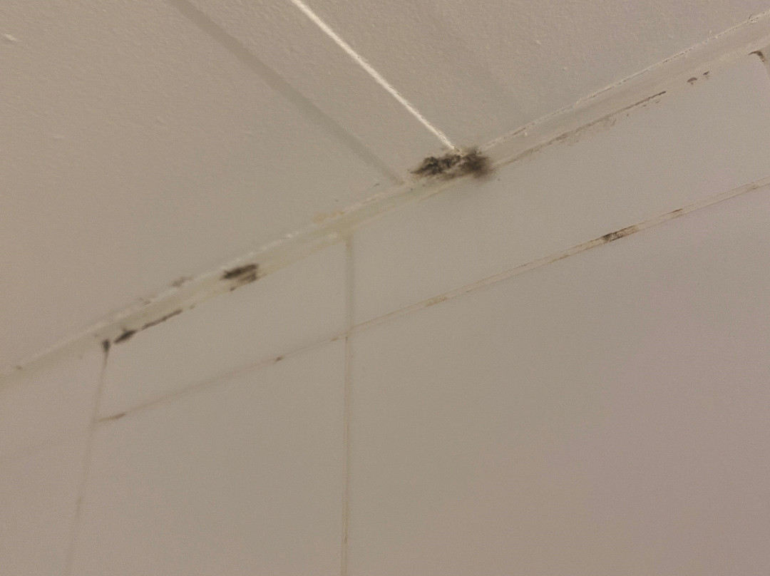 Travelodge Cambridge - Waterloo主图