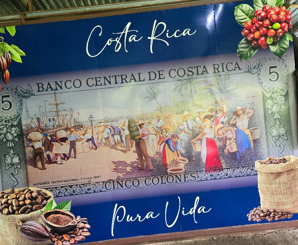 El Cadejo Marino-Playa Panama必去景点