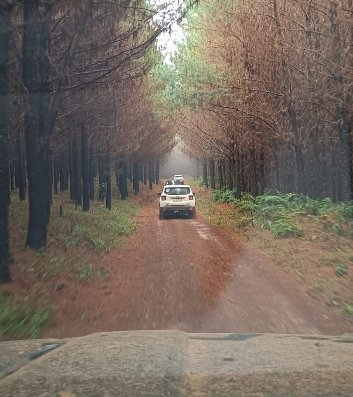 Explorando de 4x4 - Expedições e Ecoturismo-Cidade Gaucha必去景点