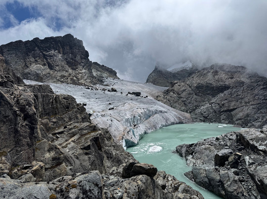 Primate Safari Experiences-坎帕拉必去景点