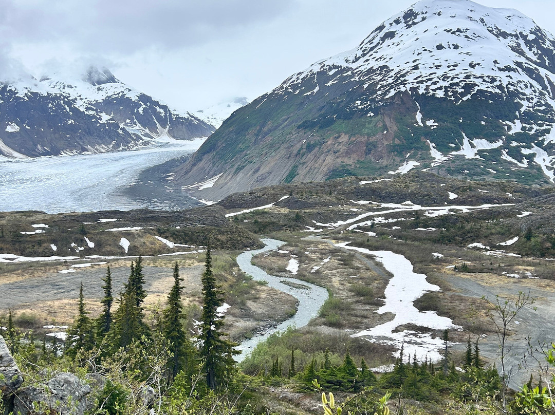 Whitecap to Icecap Adventures-Stewart必去景点