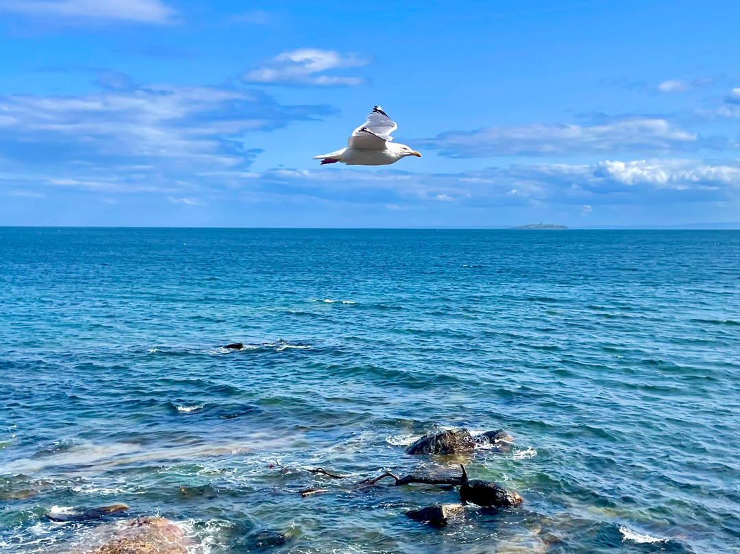 Fife Coastal Path-法夫郡必去景点