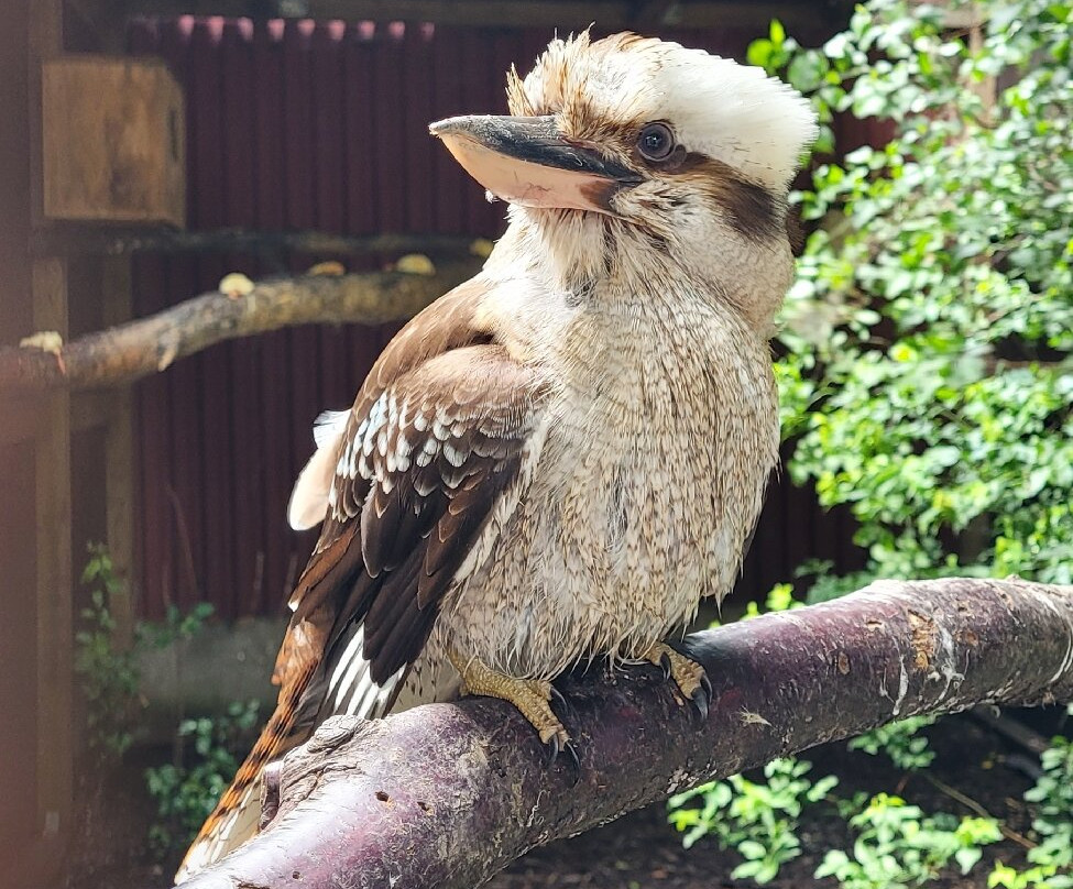 Pangea Park-Bjaeverskov必去景点