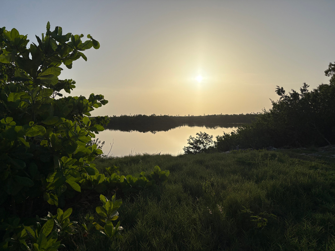 Joe Tourist Outdoor Adventures-乔治城必去景点