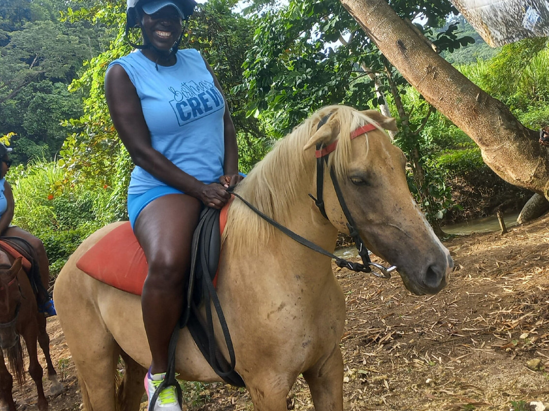 Missile Adventure Park-Lucea必去景点