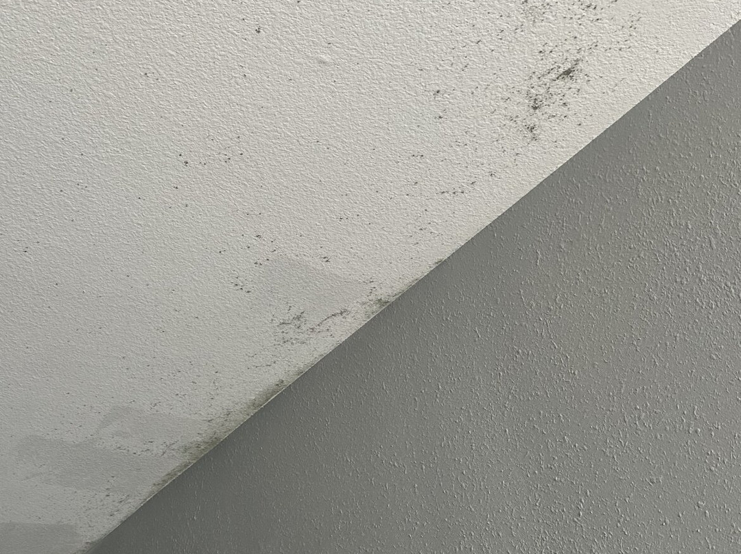 Best Western Executive Inn主图