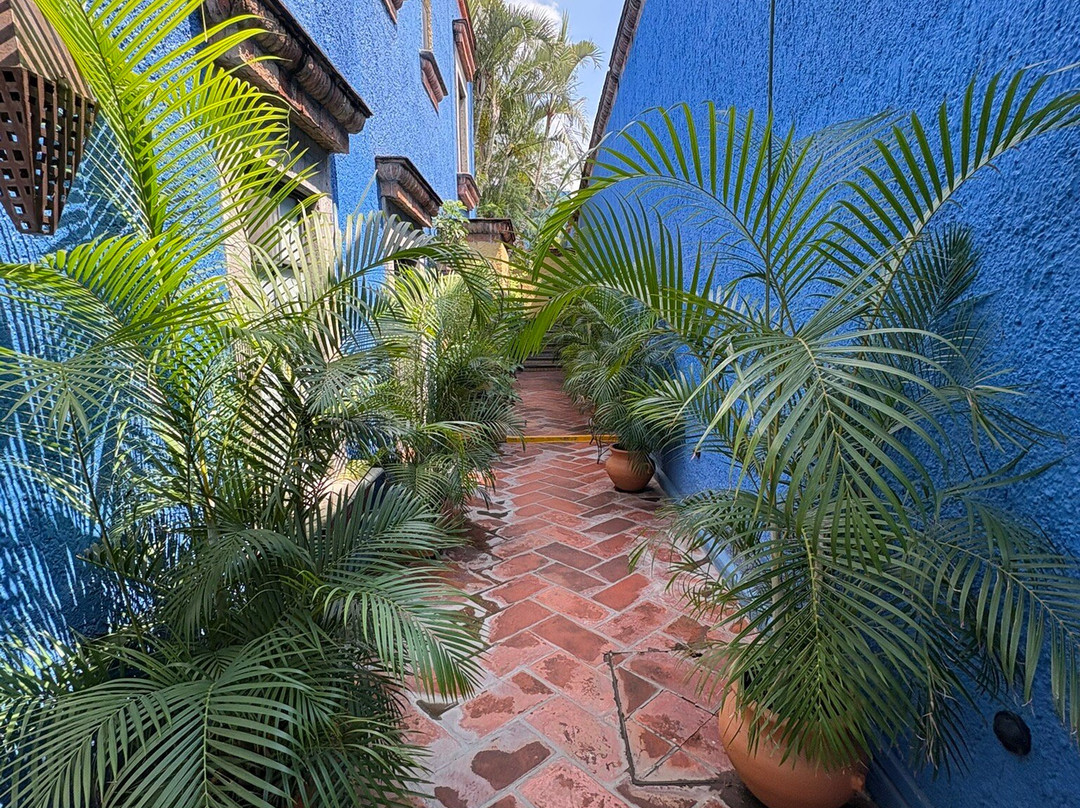 La Villa del Ensueno Hotel主图