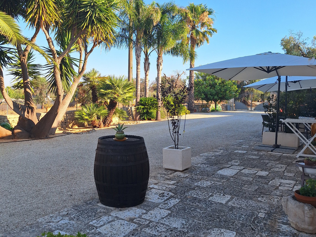 德米特民宿主图