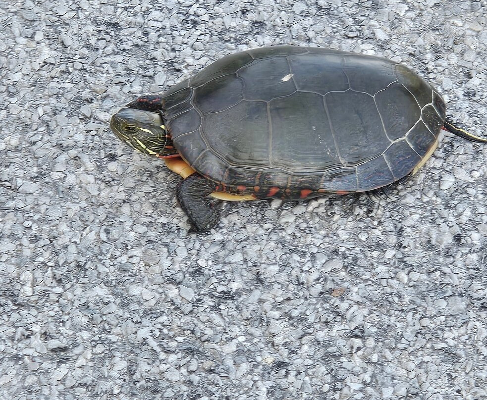 Black Creek Provincial Park-Stokes Bay必去景点