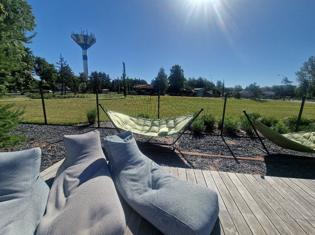 Auksinės Kopos主图