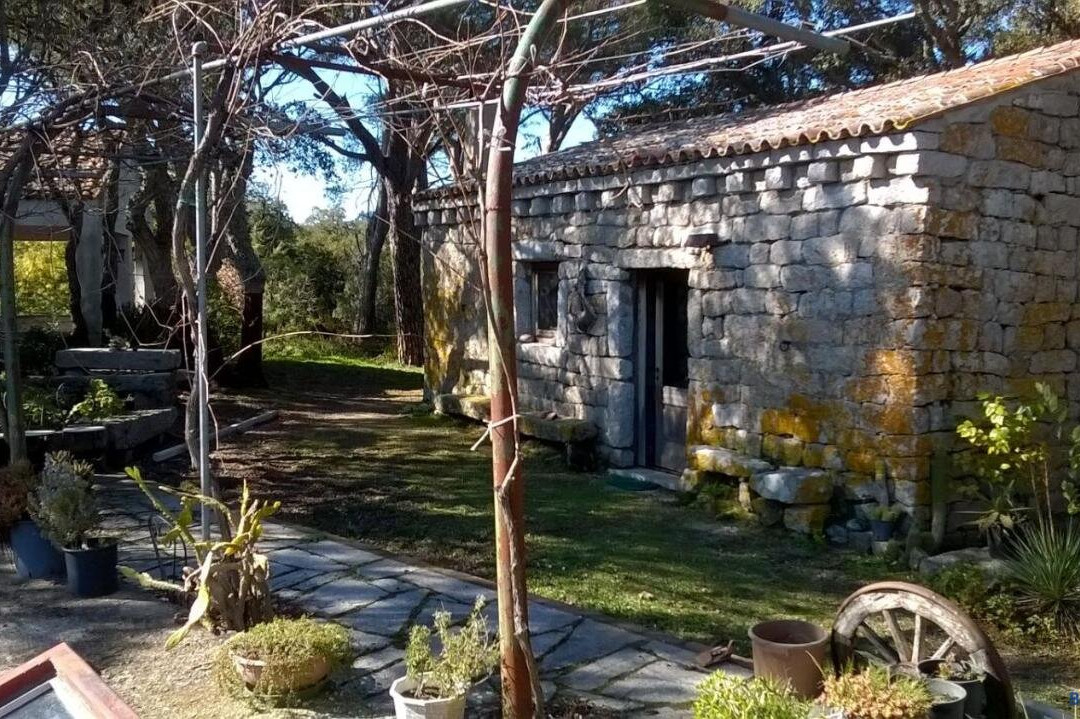 Agriturismo la Vigna