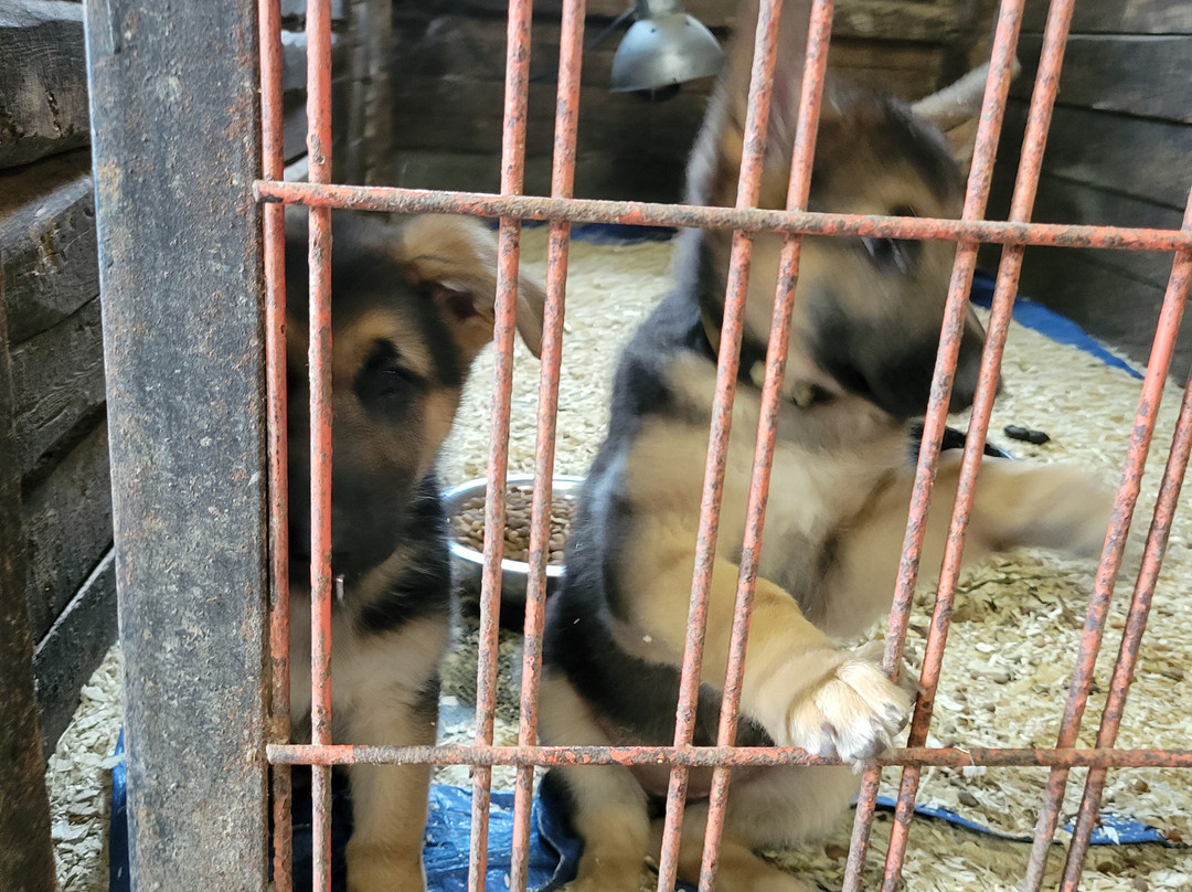 Ferme des Petits Torrieux-Frontenac必去景点