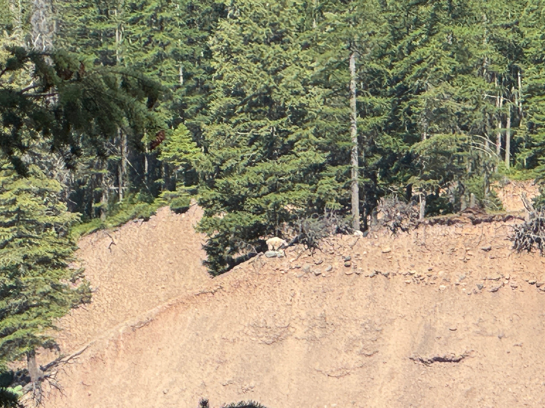 Goat Lick Overlook-冰河国家公园必去景点