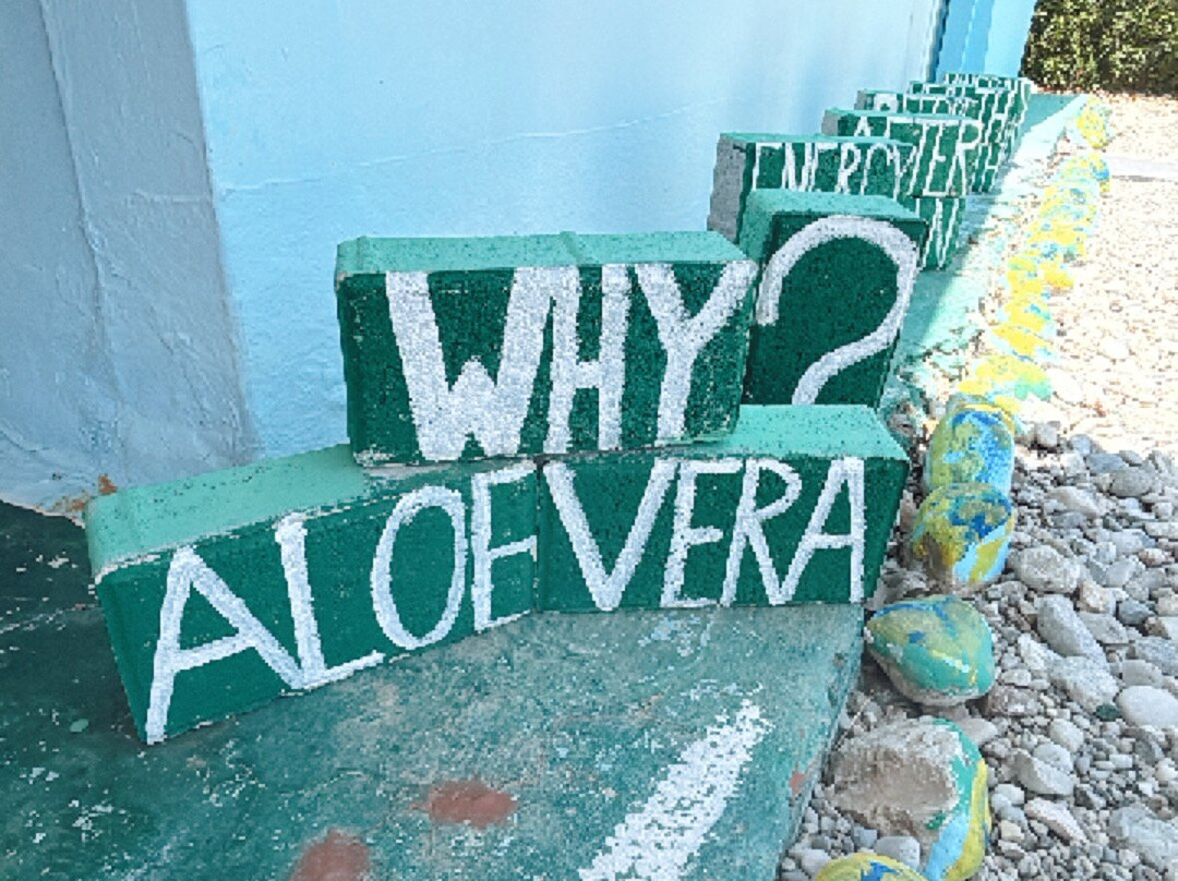 Aloe Vera & Herbal Health Farm-Fanes必去景点