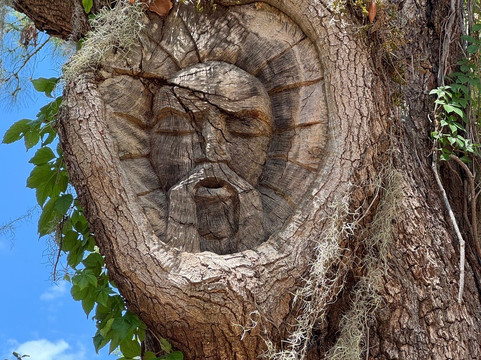 Tree Spirits of St. Simons Island-圣西蒙斯岛必去景点