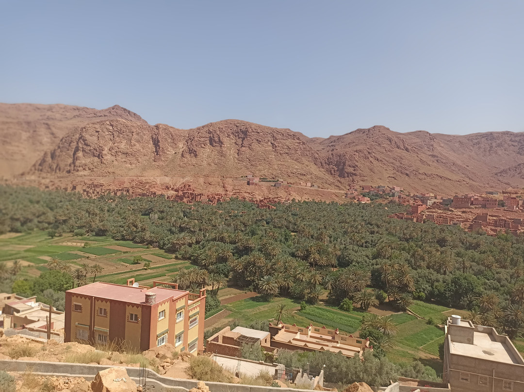 Ligne d'Aventure - Day Tours-拉巴特必去景点