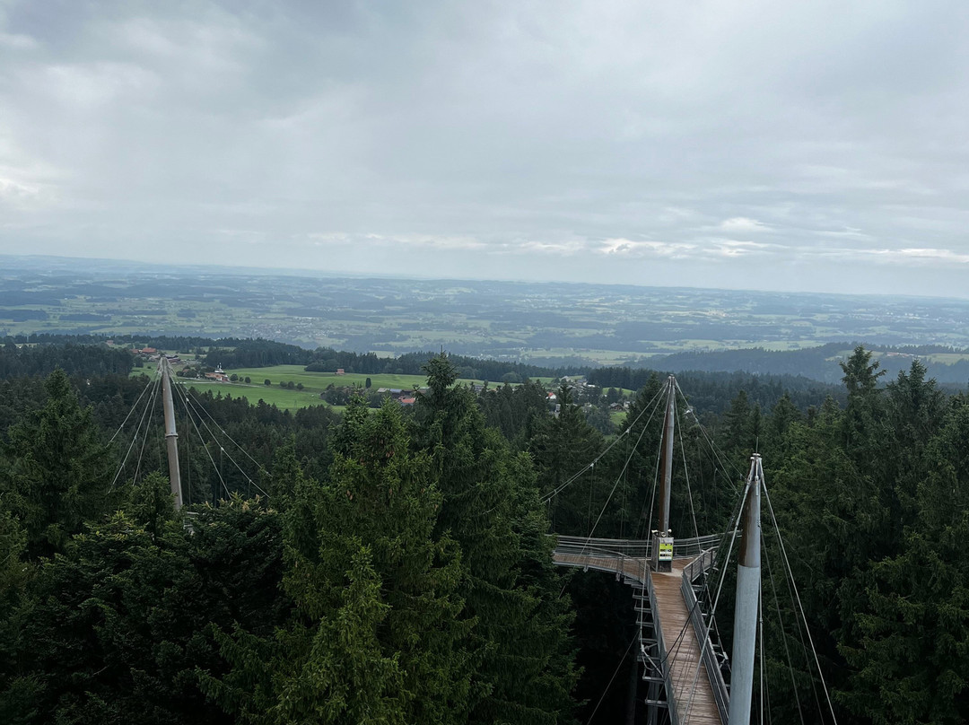 Waldwelt Skywalk Allgäu-Scheidegg必去景点