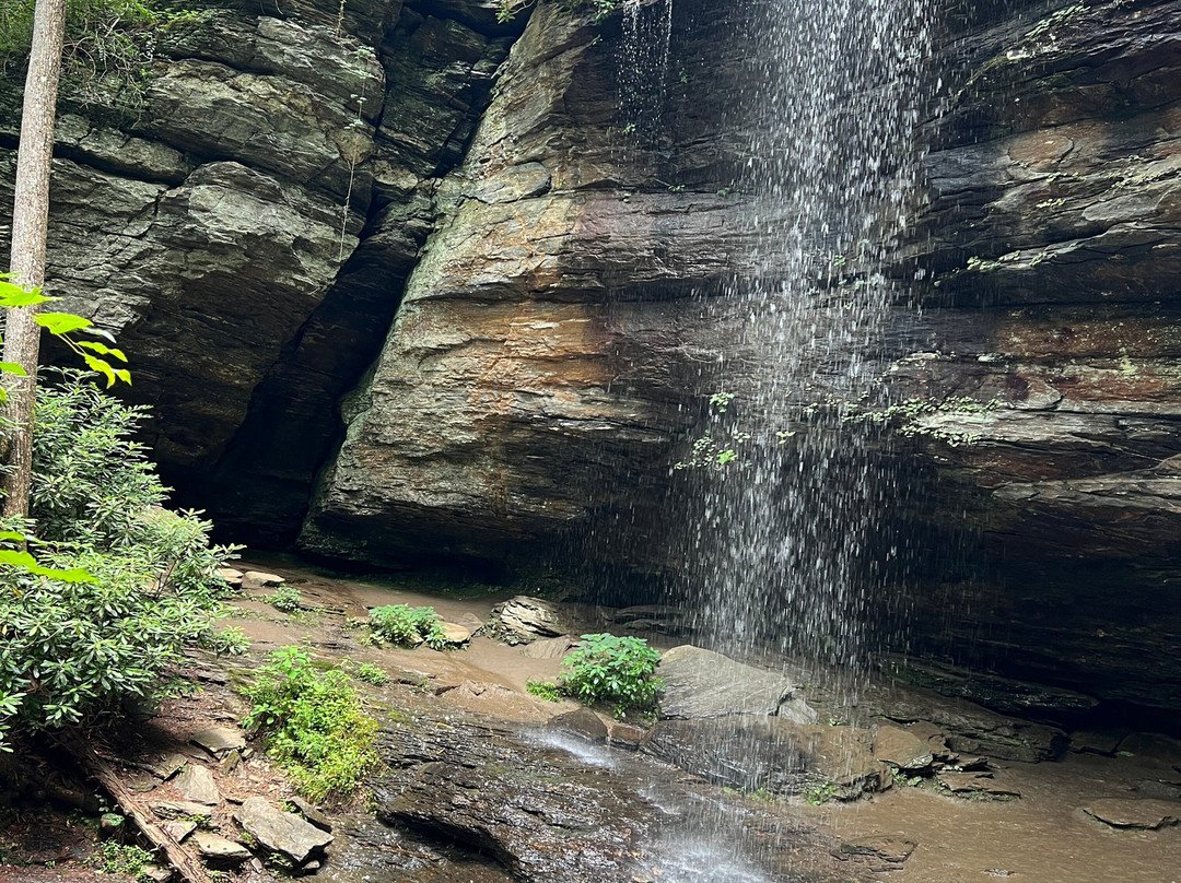 Moore Cove Falls-Pisgah Forest必去景点
