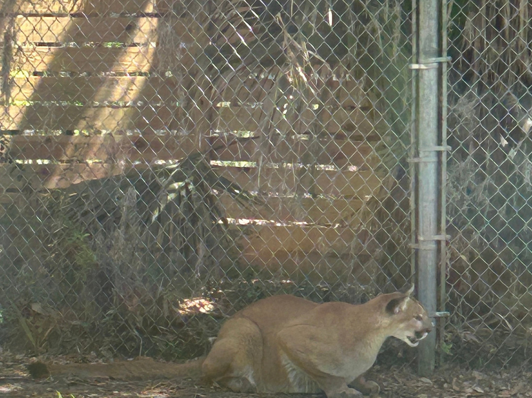 Oatland Island Wildlife Center-萨凡纳必去景点