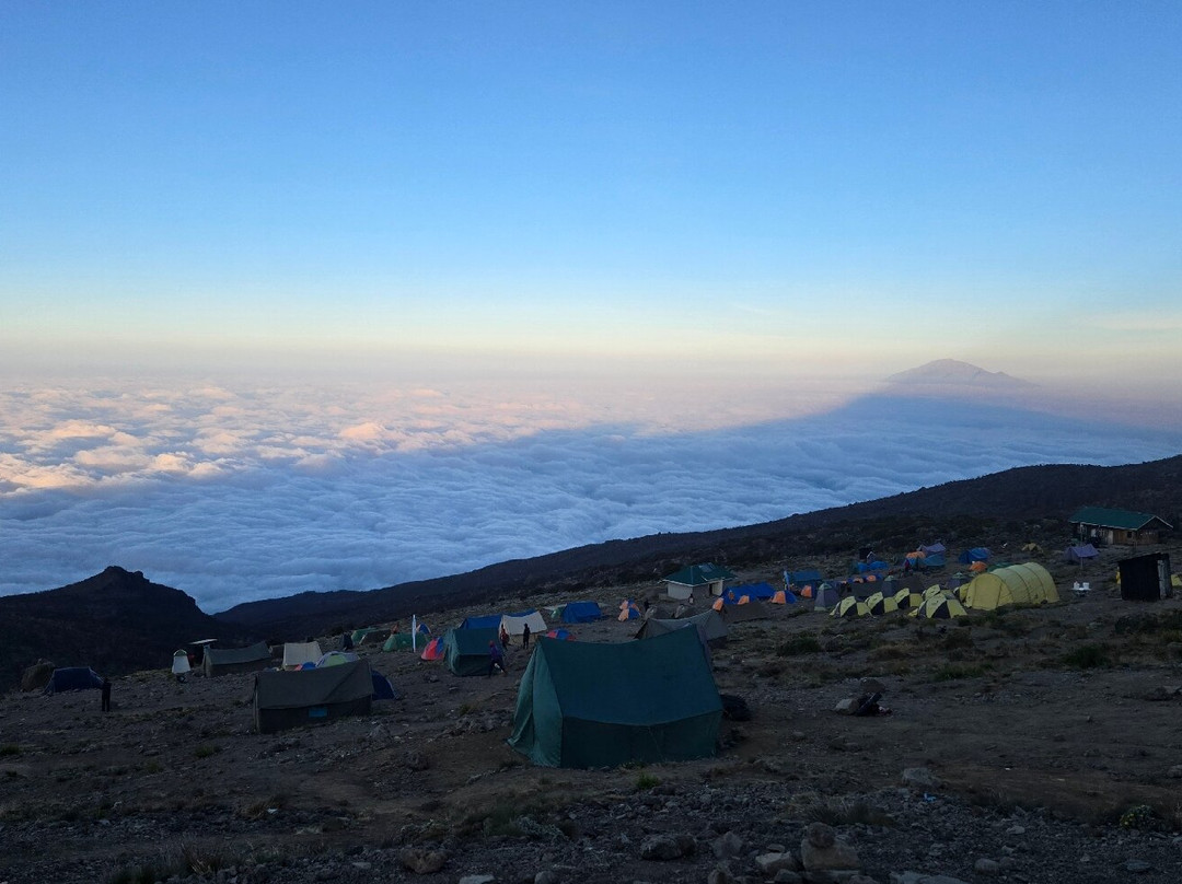 Dotcom Safaris Ltd-莫西必去景点