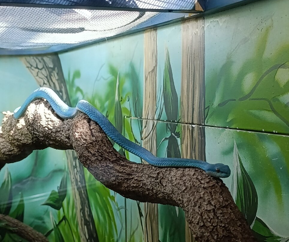 Butantan Institute-圣保罗必去景点