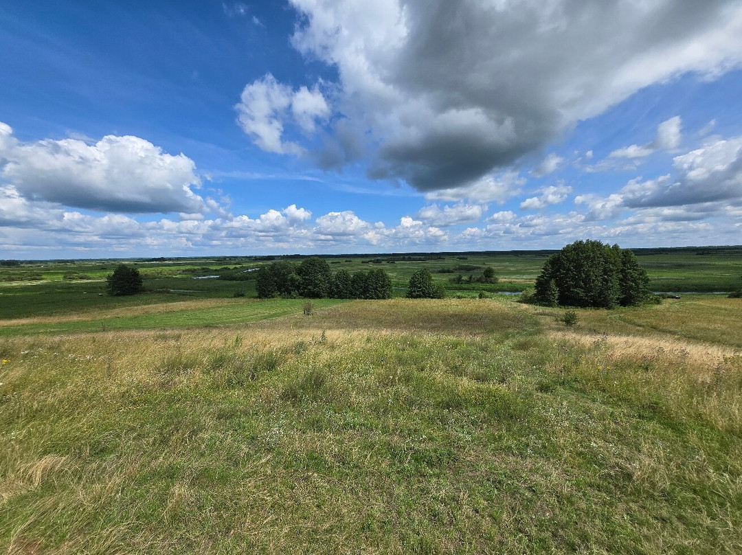 Wild Poland Wildlife Tours-Bialowieza必去景点