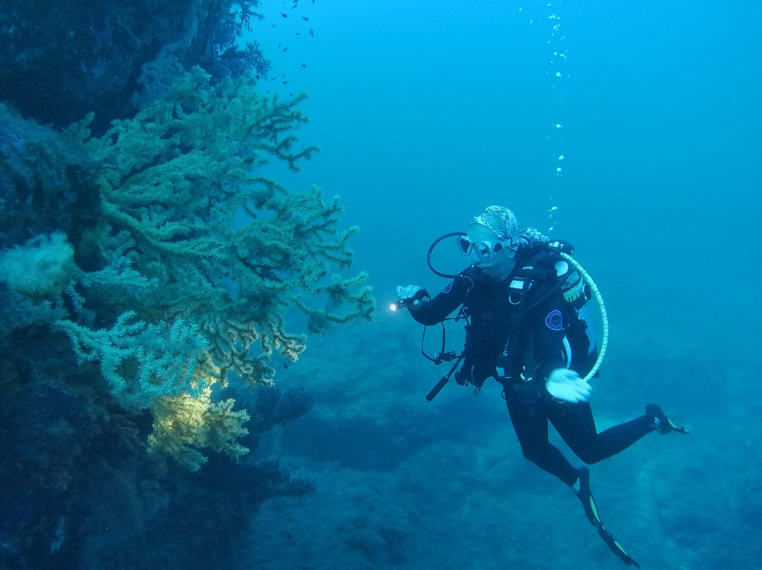 Orca Dive Club Sardinia-圣特雷莎加卢拉必去景点