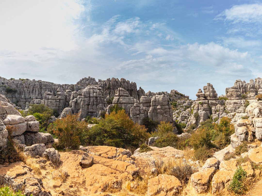 B&b Hacienda Riogordo主图