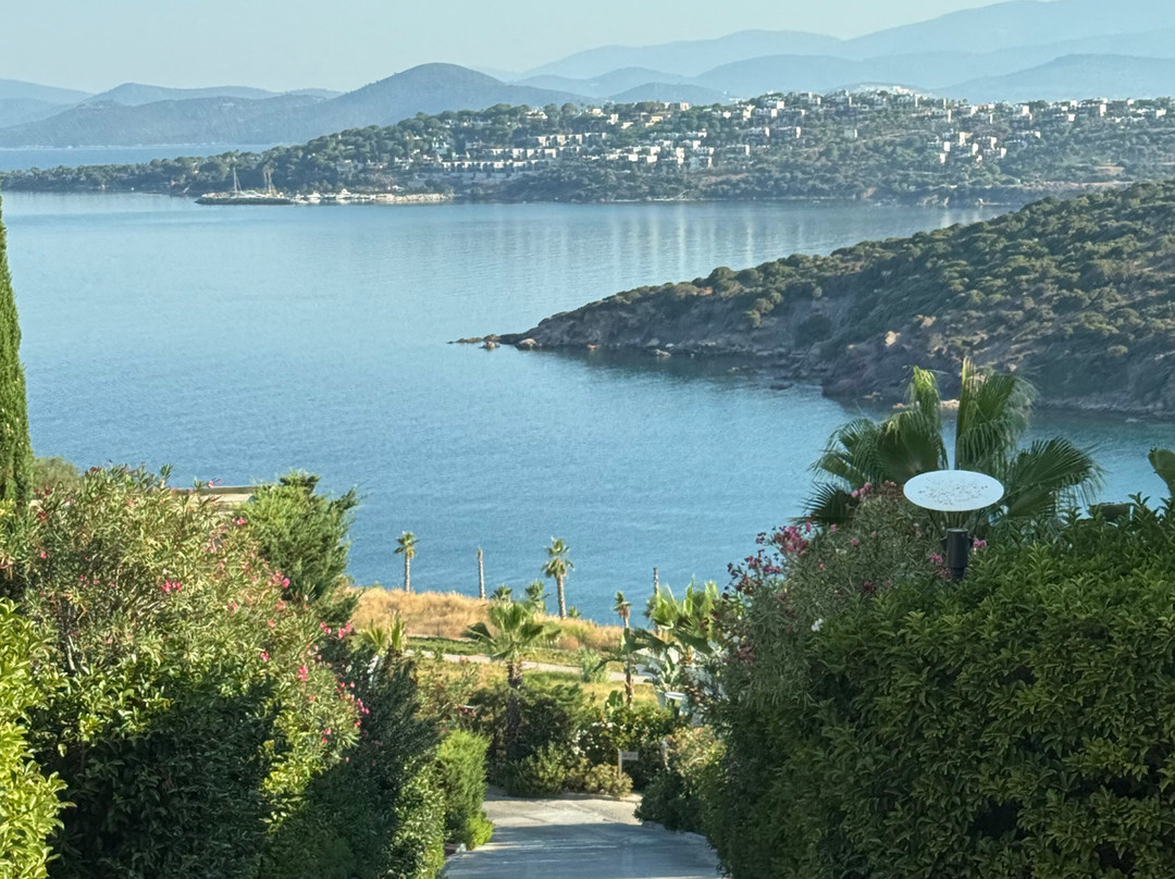 Vitalica Wellness主图