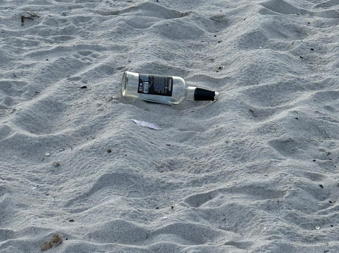 Dog Park-好莱坞必去景点