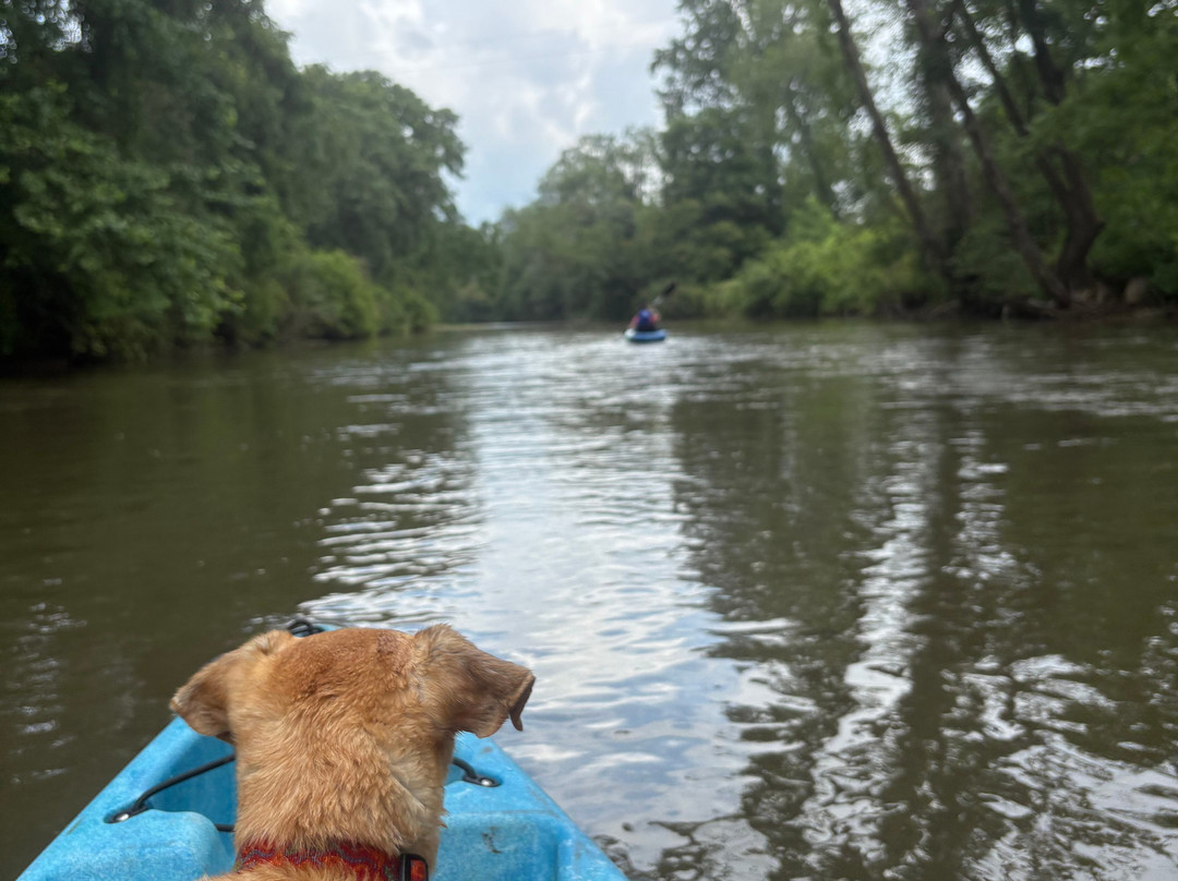 Headwaters Outfitters Outdoor Adventures-Rosman必去景点