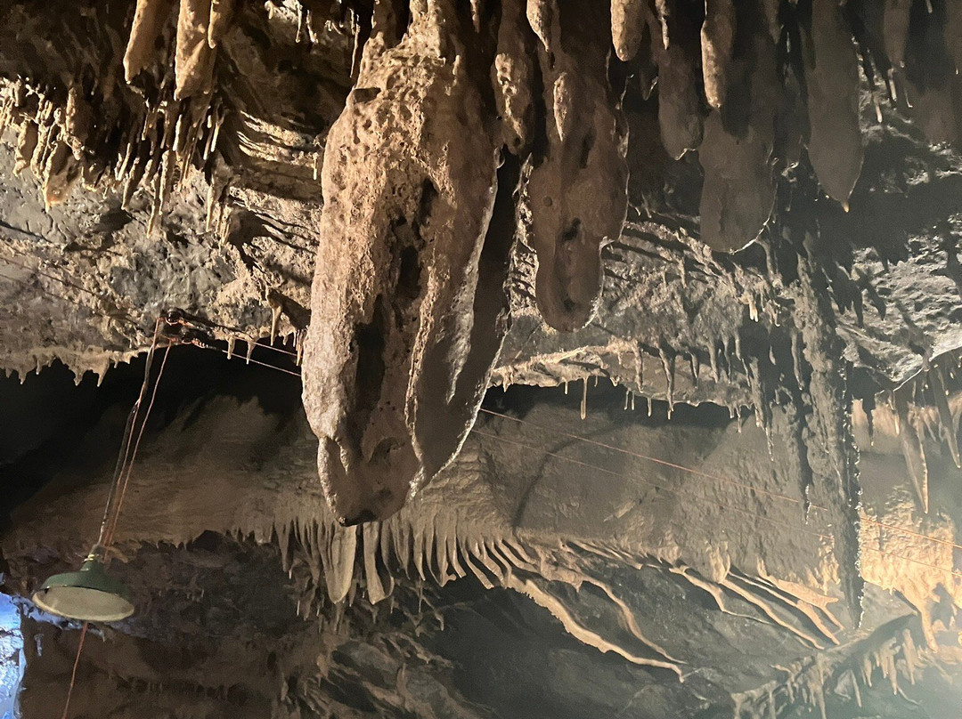 Woodward Cave and Campground-Woodward必去景点