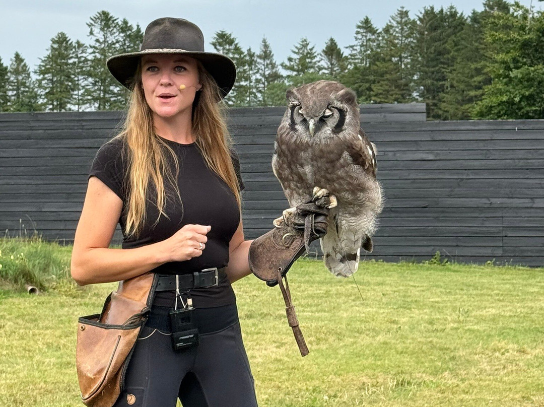 Silkeborg Rovfugleshow-Them必去景点